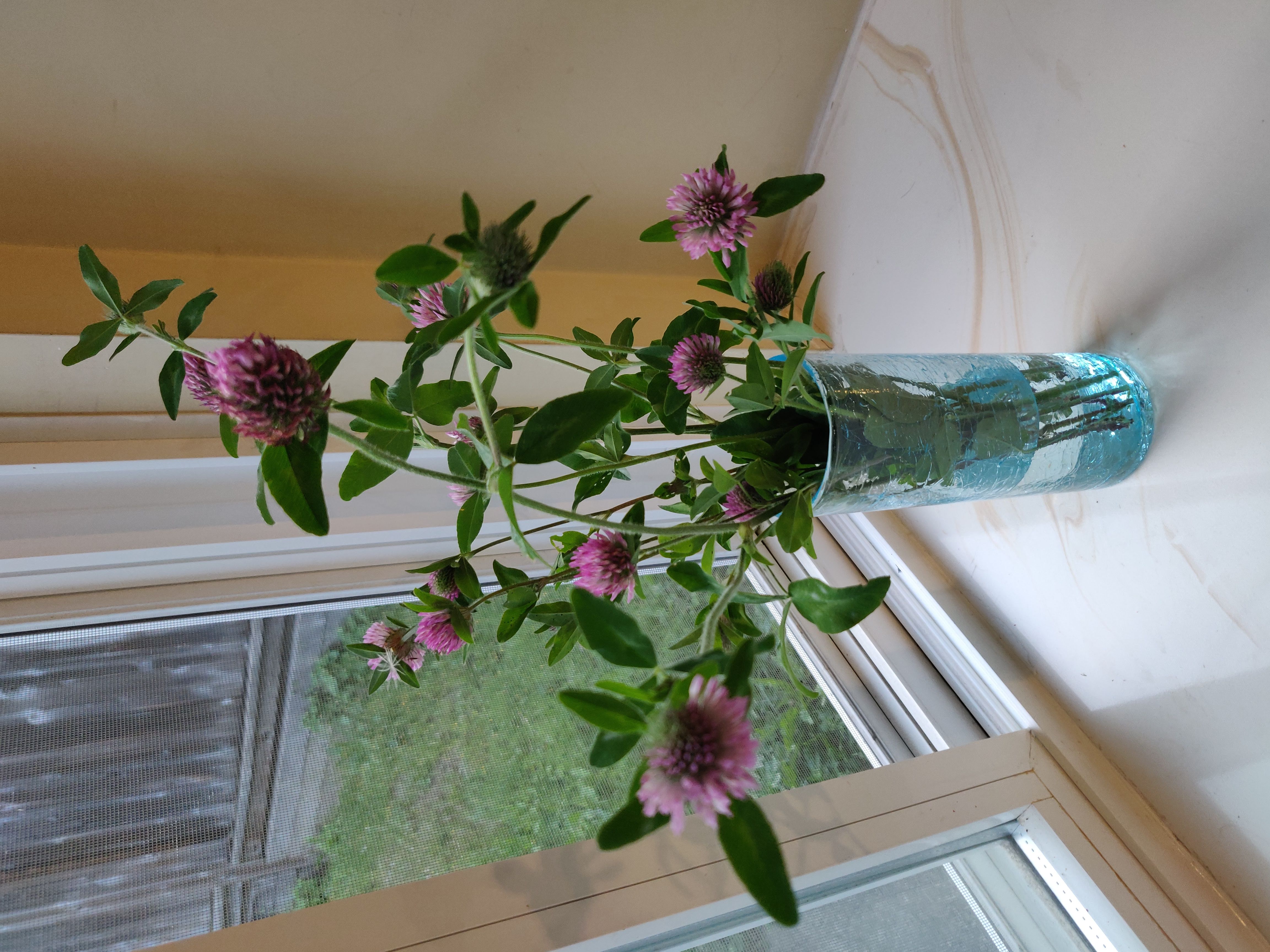 a vase filled with flowers on top of a table 