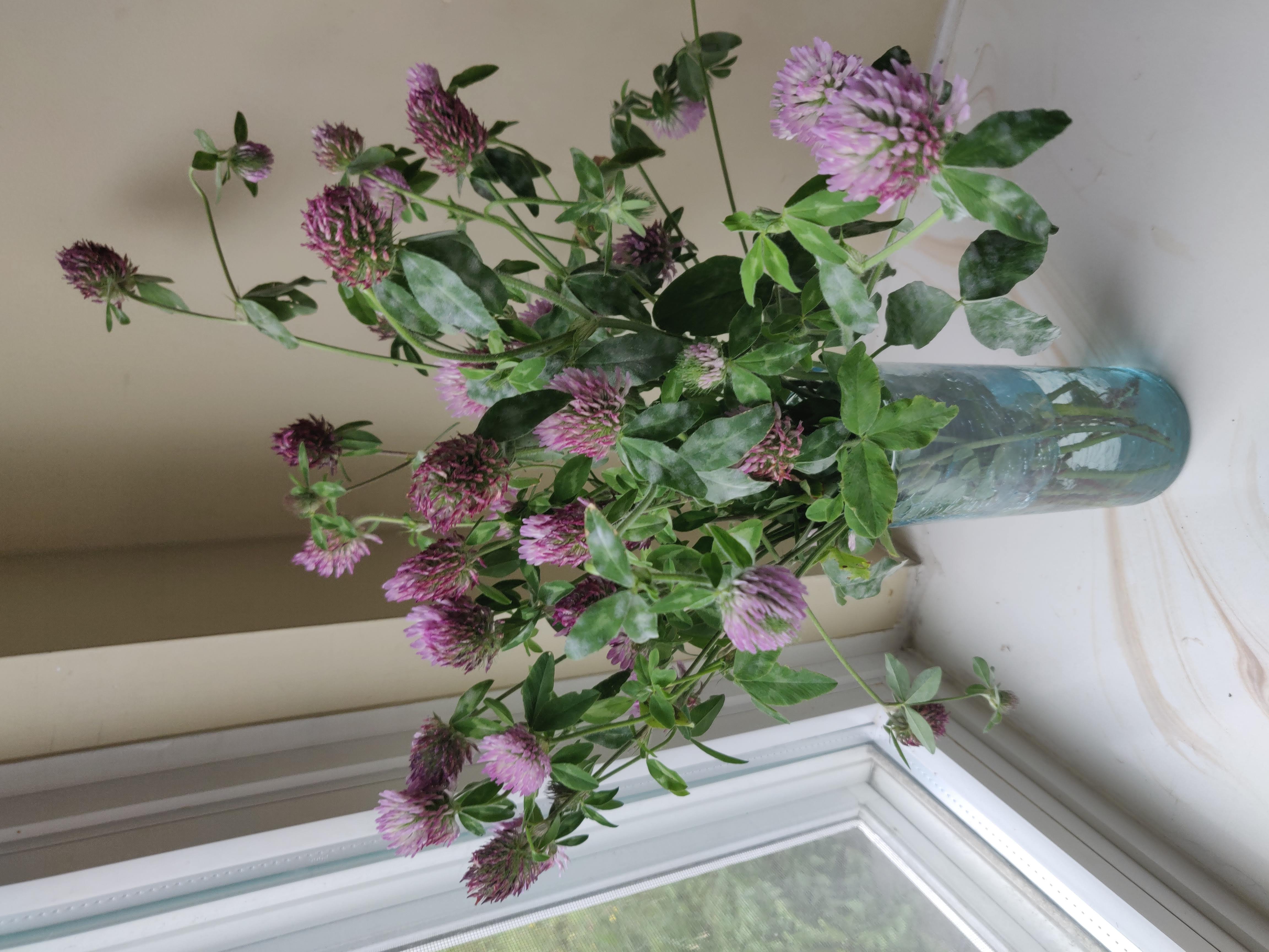 also a vase filled with flowers on top of a table 